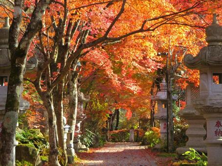 棚倉町山本不動尊 山本不動尊,お寺,仏閣の写真素材