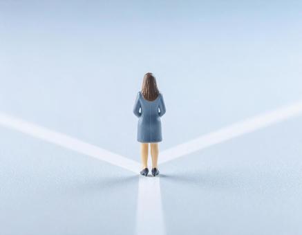 選択 選択の写真