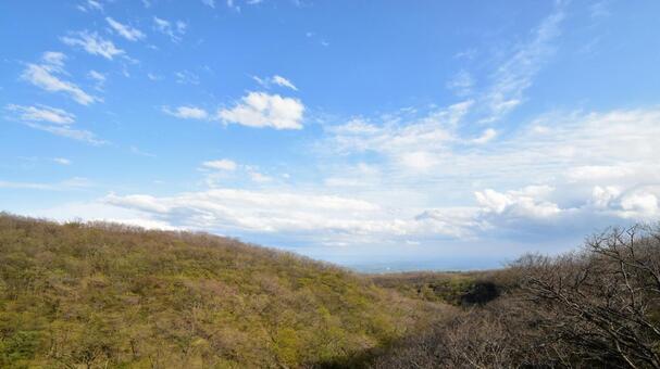 日本の風景：広大な新緑の森と広がる青空﻿ 新緑,緑,若葉の写真素材