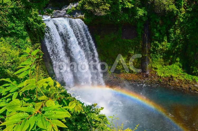 音止の滝（静岡県富士宮市） 滝,落下,流れの写真素材