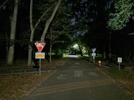 夜の公園 夜の公園 夜,公園,不気味の写真素材