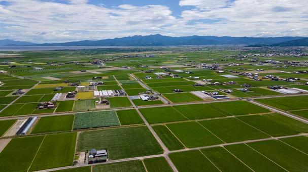 佐賀県杵島郡白石町の風景 空撮写真 佐賀県杵島郡白石町の風景 空撮写真 佐賀,白石町,佐賀県の写真素材