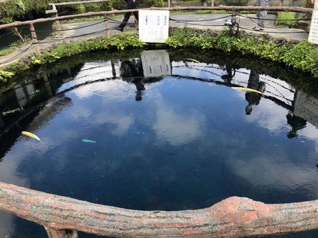 池 池 池,湖,水たまりの写真素材