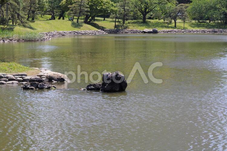 浜離宮恩賜庭園の風景 浜離宮恩賜庭園,庭園,風景の写真素材