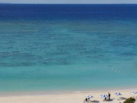 青と白のパラソルが映えるビーチ 青と白のパラソルが映えるビーチ 夏,ビーチ,海の写真素材