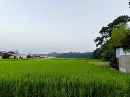 田舎の夕暮れ、兵庫県小野市 田舎の夕暮れ、兵庫県小野市 山,空,夕方の写真素材