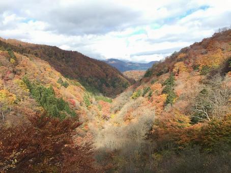 紅葉の景色 紅葉の景色の写真
