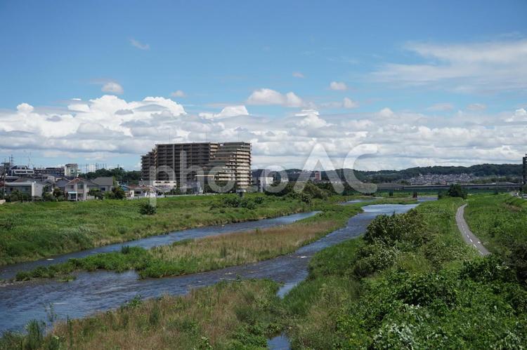 八王子市内を流れる一級河川　浅川　河川敷 八王子市,浅川,河原の写真素材