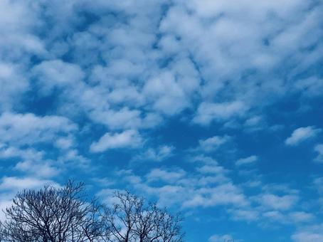 冬空の写真