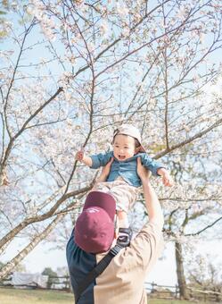 桜と子供 桜,子供,キッズの写真素材