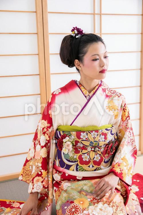 振袖を着た女性　kimono 成人式,着物,和装の写真素材
