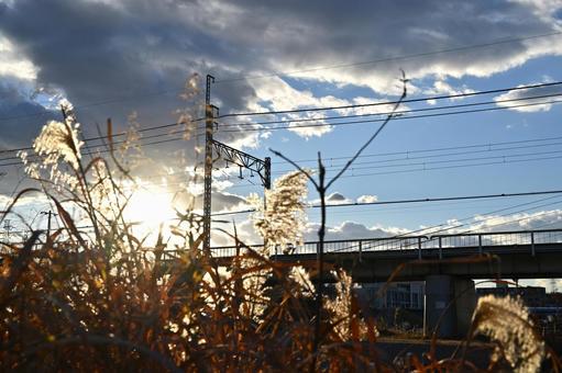 夕日差し込むススキとローカル線の鉄線 夕日差し込むススキとローカル線の鉄線 ススキ,エモい,秋の写真素材