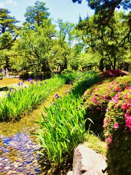 庭園 庭園の写真