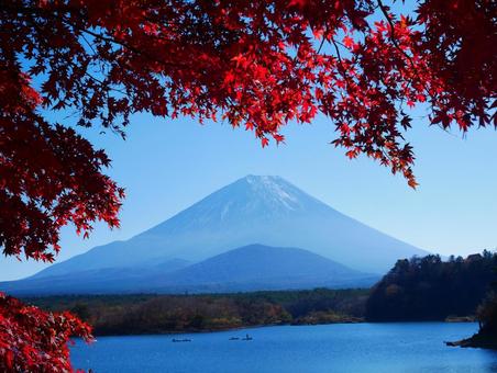 秋と富士山 日本,国内旅行,旅行の写真素材