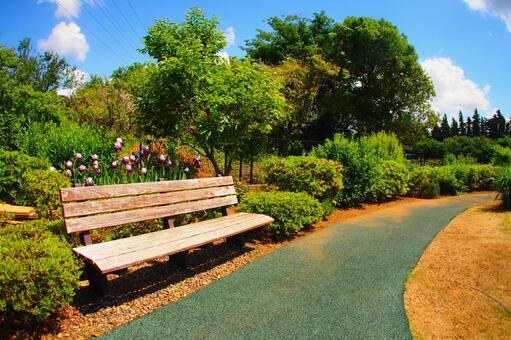 公園のベンチと風景 公園のベンチと風景の写真