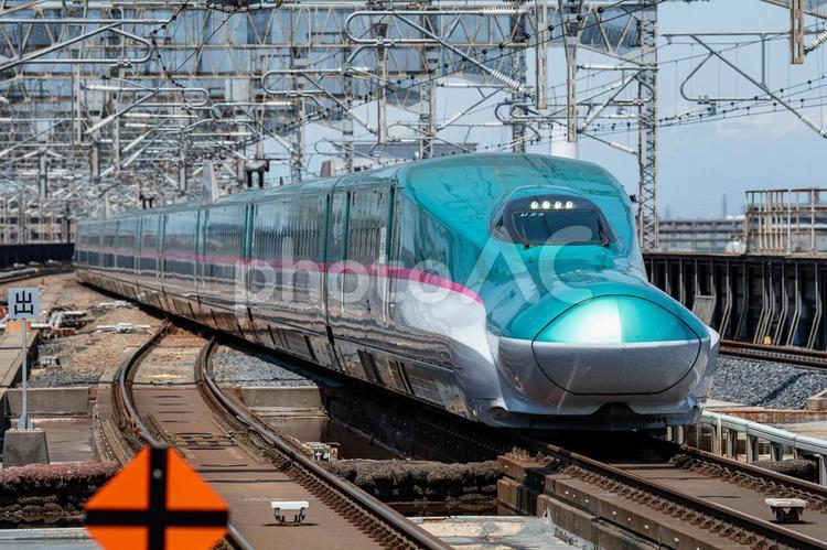 ホームに入線してくる東北青森新幹線E5系 e5系,線路,駅の写真素材