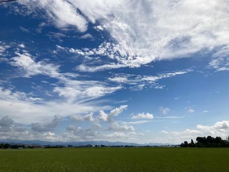 高積雲・巻雲と空と田んぼ 高積雲・巻雲と空と田んぼ 高積雲,ひつじ雲,巻雲の写真素材