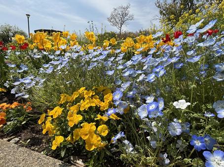 春の彩り〜その3〜の写真