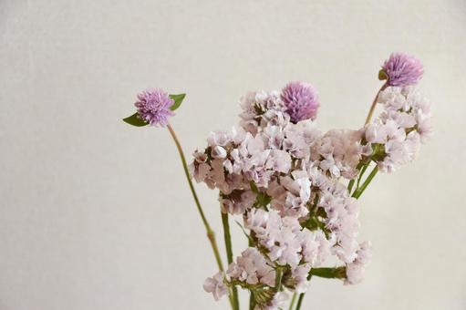 スターチスと千日紅の写真