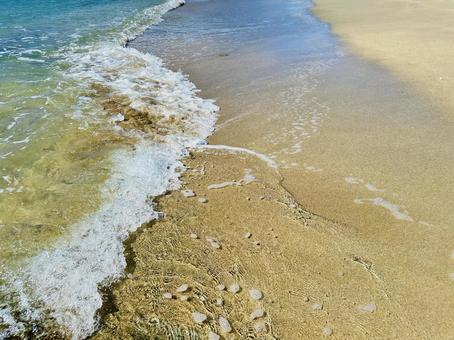 夏の海岸 海水浴場 夏の海岸 海水浴場 田原海水浴場,海水浴場,海の写真素材