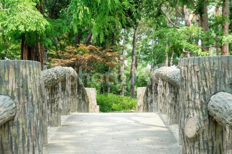 森の中の橋 アウトドア,ハイキング,公園の写真素材