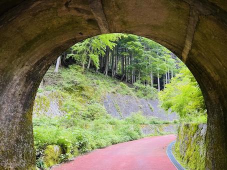 トンネル トンネル 景色,トンネル,檜原村の写真素材