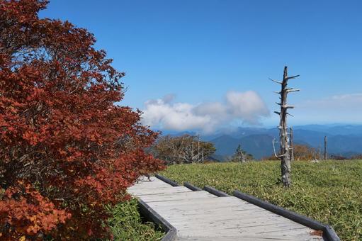 大台ヶ原の紅葉 10月,秋,山歩きの写真素材