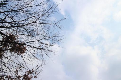 運転免許更新の時の空　その２ 空,雲,曇りの写真素材