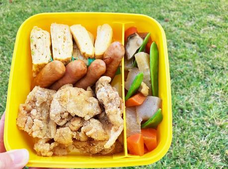 ピクニックで家族分の行楽弁当 ピクニック,行楽弁当,弁当の写真素材