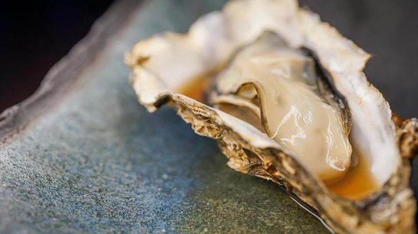 	牡蠣（北海道産） 牡蠣,北海道,カキの写真素材