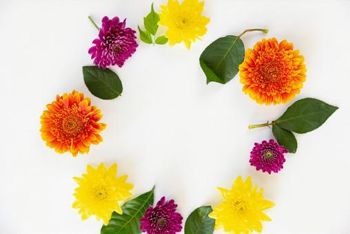 丸く置かれた花 花,ガーベラ,葉の写真素材