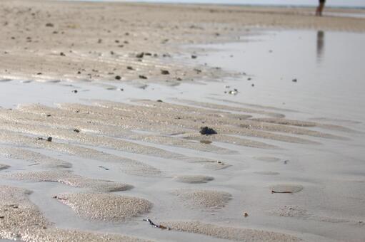 白浜 白浜 白浜,砂浜,白い砂の写真素材