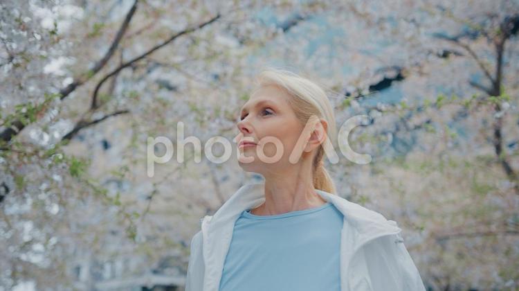 桜のそばで遠くを見る女性 女性,人物,元気の写真素材