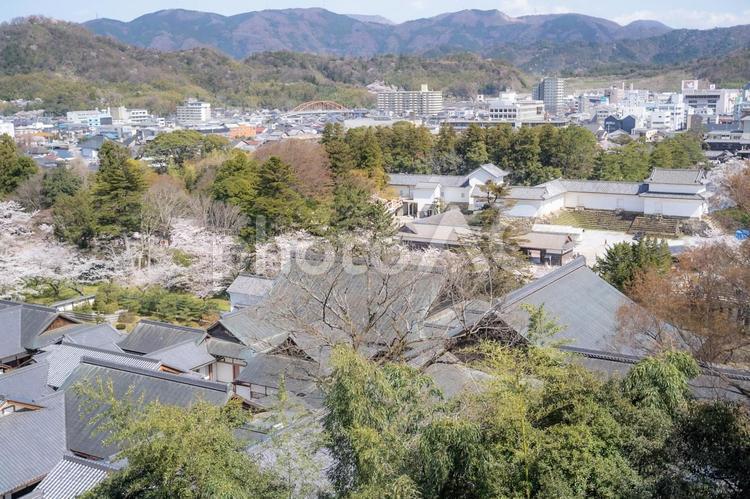 彦根城から見た景色 彦根城,城下町,景色の写真素材
