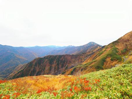 紅葉(越後三山・越後駒ヶ岳) 紅葉(越後三山・越後駒ヶ岳)の写真