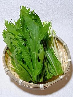 水菜の写真
