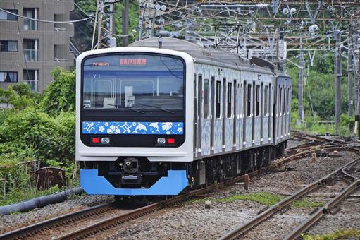伊豆急行3000系 アロハ電車 伊豆急行3000系 アロハ電車の写真