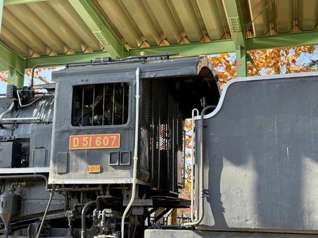 福井少年運動公園の展示の機関車 デコイチ,石炭,スチームの写真素材