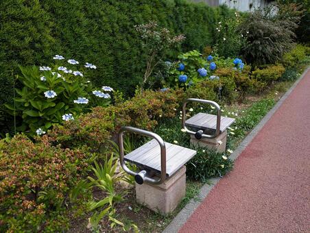 目黒川緑道　ベンチ 緑道,目黒川,目黒川緑道の写真素材
