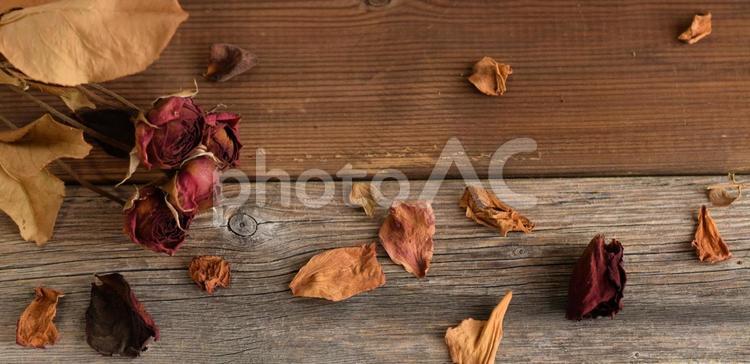 薔薇のドライフラワー、背景素材 ばら,ドライフラワー,フレーム素材の写真素材