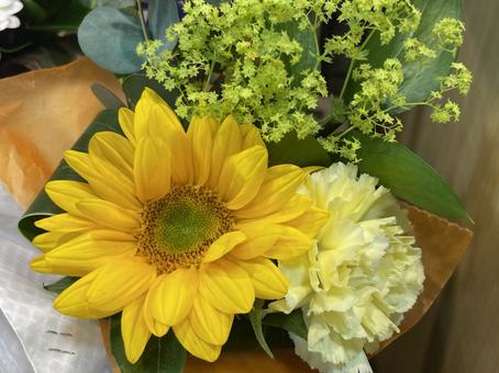 Sunflowers and carnations, JPG