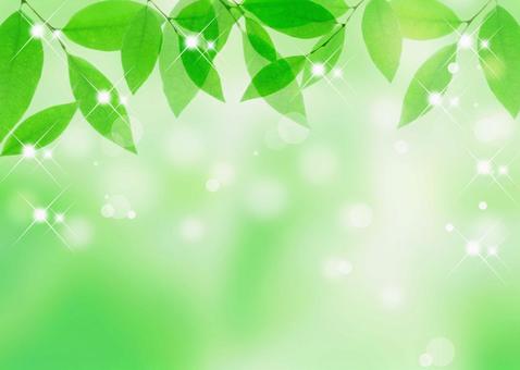 Fresh green background, JPG