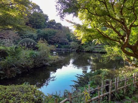 甘泉園公園の池 甘泉園公園の池の写真