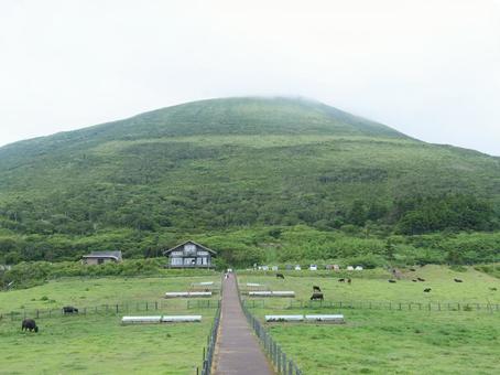 八丈島 ふれあい牧場と八丈富士 八丈島 ふれあい牧場と八丈富士 八丈富士,牧場,八丈島の写真素材