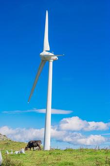 四国地方　四国カルスト台地の風景 カルスト台地,四国,四国地方の写真素材