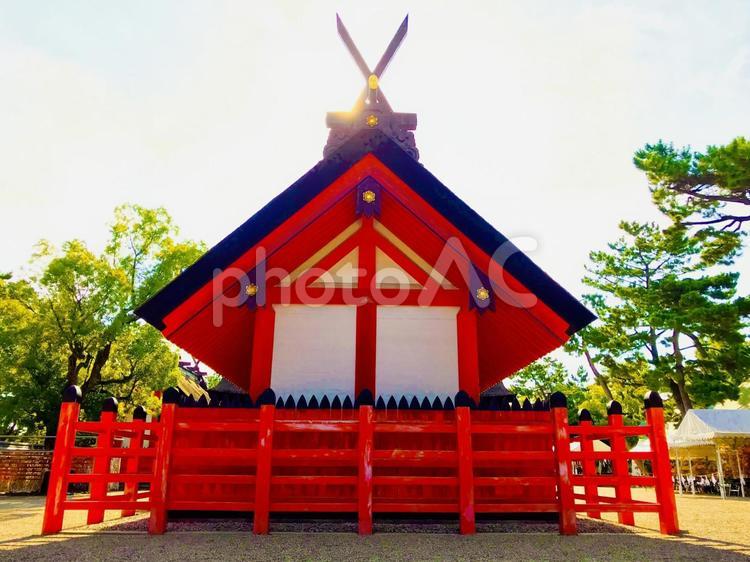 住吉大社 大阪,住吉大社,神社の写真素材
