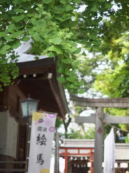 緑の銀杏と神社のある風景 緑の銀杏と神社のある風景の写真