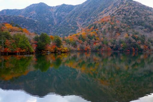 紅葉の湯ノ湖 紅葉の湯ノ湖の写真