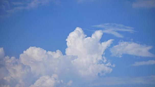 青空と雲-203 青空と雲-203の写真