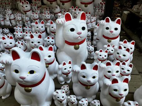 招き猫　豪徳寺 まねきねこ,置物,縁起物の写真素材